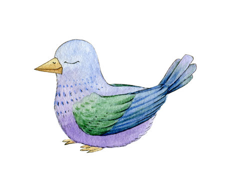 Cute cartoon pigeon watercolor illustration. Sweet little dove birdie hand drawn image. Bright sleeping bird isolated on white background.