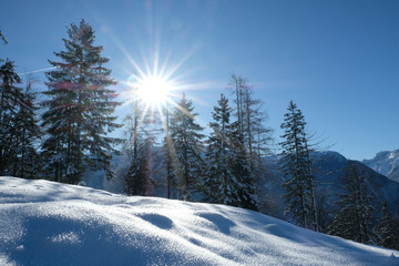 Winter Landscape in the Region of Salzburg, Austria, Europe