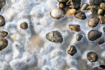 Close up of stones in frozen water
