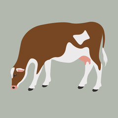 cow vector illustration,flat style ,profile view