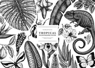 Tropical banner design. Vector frame with hand drawn tropical plants, exotic flowers, palm leaves, insects and chameleon. Vintage wildlife background. Summer template with tropical plants and animals. © sketched-graphics