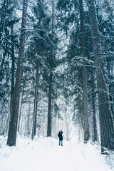 Travel photographer takes pictures in snow forest