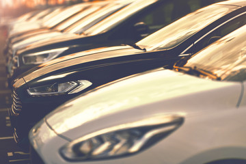 Row of cars of vip dealership 