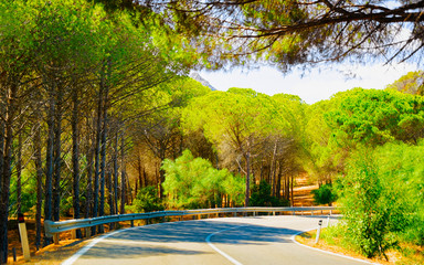 Empty road without cars in Sardinia Island in Italy summer. Transport driving on highway of Europe. Holiday on motorway. Cagliari province. Mountains on background. Mixed media.