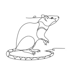 2020 year of the rat one line drawing on white isolated background