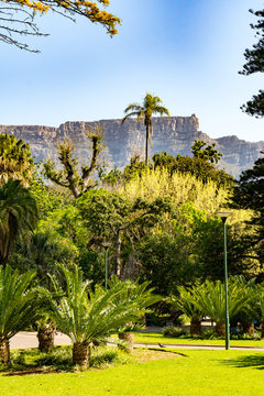 S&uuml;dafrika