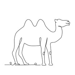 Camel one line drawing on white isolated background.