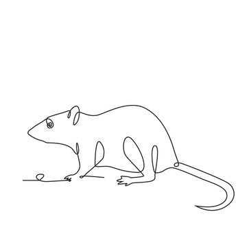 2020 year of the rat one line drawing on white isolated background. 
