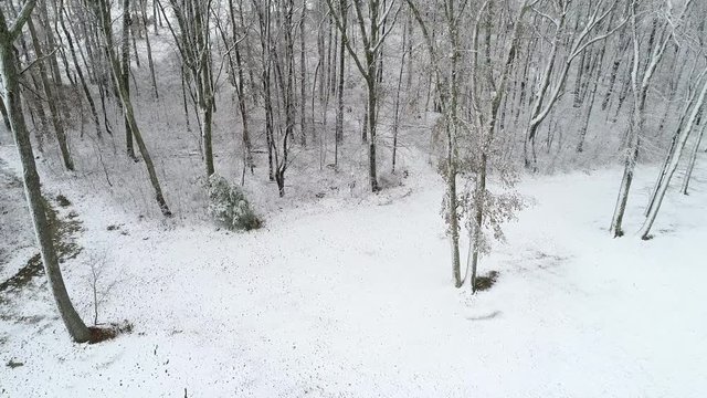 Aerial, snowy forest in Kentucky