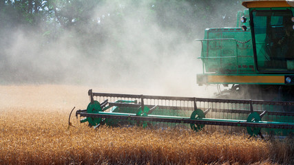 A harvester in a field mows ripe dry wheat emitting clouds of dust. A farmer cultivates his...