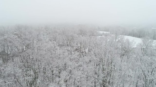 Snow covered forest in Kentucky, wide aerial