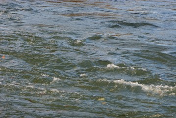 Aara river as clean whirlpool