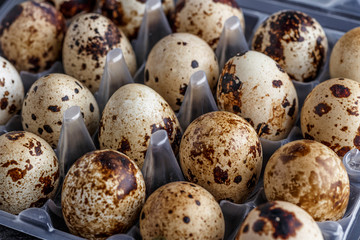 Quail eggs tray, top view. Small raw eggs. Buy healthy food.Quail eggs are more nutritious and healthier than chicken eggs,contain 13% protein.healthy food concept