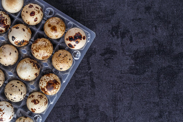 Quail eggs tray, top view. Small raw eggs. Buy healthy food.Quail eggs are more nutritious and healthier than chicken eggs,contain 13% protein.healthy food concept