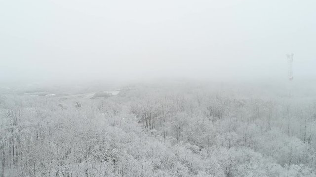Snowy landscape in Daniel Boone National Forest, wide aerial