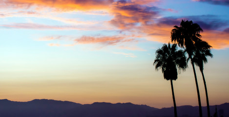 Fototapeta na wymiar Wide angle banner shape view of beautiful California sunset showing three palm trees silhouetted against colorful sky