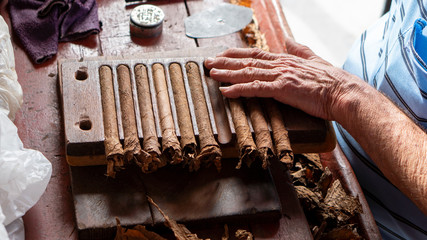 blue dressed man rolling / making handmade cigars in vinales, cuba