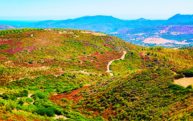 Empty road without cars in Teulada of Sardinia Island in Italy summer. Transport driving on highway...