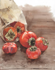 Persimmons still life autumn fruit orange color watercolor painting illustration - 315742898