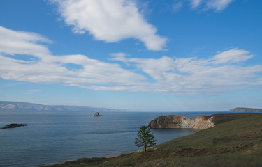 a lonely tree on the beautiful green shore of a blue lake