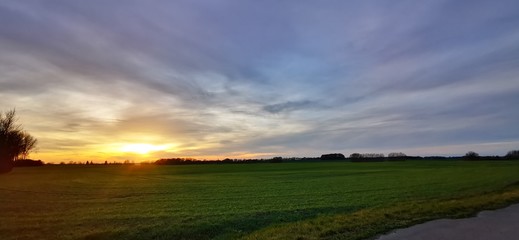 A fantastic sunset with red yellow orange and purple tones with dramatic cloud formation over green meadows with bare trees in January on the island of R&uuml;gen