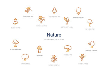 nature concept 14 colorful outline icons. 2 color blue stroke icons