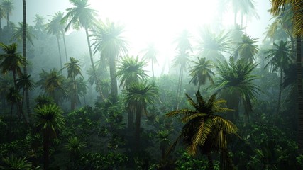 Jungle in the fog, palm trees in the haze, morning jungle, 3D rendering