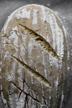 Unbaked sourdough bread with apparent gluten strings formation