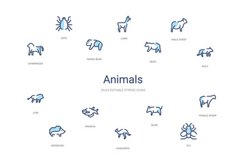 animals concept 14 colorful outline icons. 2 color blue stroke icons © zaurrahimov