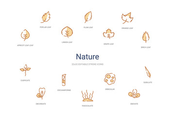nature concept 14 colorful outline icons. 2 color blue stroke icons
