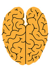 Human brain top view. Vector illustration. Flat design. Memphis Style
