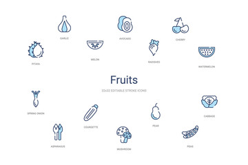 fruits concept 14 colorful outline icons. 2 color blue stroke icons