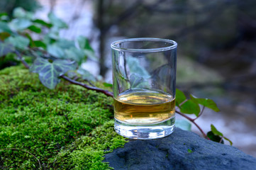 Scotch single malts or blended whisky spirits in glasses with water of river Spey on background,...