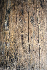 Defocused background texture of an old wood panel consisting of boards or planks for a vintage or rustic themed concept.