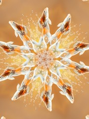 abstract background with goldfishes in kaleidoscope view