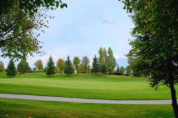 View of the golf course with green lawn trees and ornamental shrubs. Golf course, beautiful scenery.