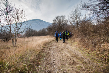 Fototapeta premium Hiking Group Of People Walking In Nature
