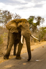 Afrika