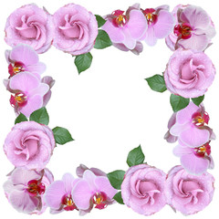 Beautiful floral circle of orchids and roses. Isolated