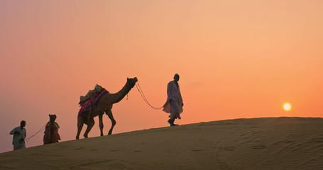 Indian cameleers (camel driver) bedouin with camel silhouettes in sand dunes of Thar desert on sunset. Caravan in Rajasthan travel tourism background safari adventure. Jaisalmer, Rajasthan, India