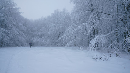 snowy landscape in the mountains with a man in the fog