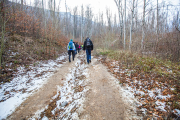 Outdoor Nature Healthy Activity Hiking People Forest Walking