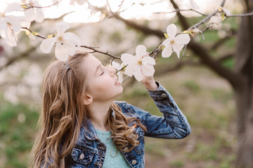 Portrait of beautiful girl with curly long hair. Beautiful girl in blue jeans jacket smells magnolia blossom tree branch. Spring concept. Copy space