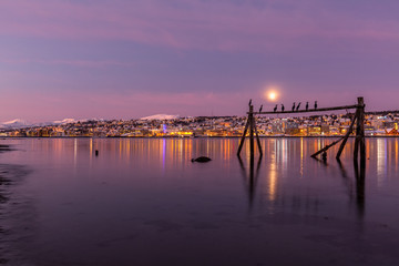 Obraz premium Amazing sunrise with amazing magenta color and moon over Tromso, Norway. Fisherman's building . Polar night. long shutter speed