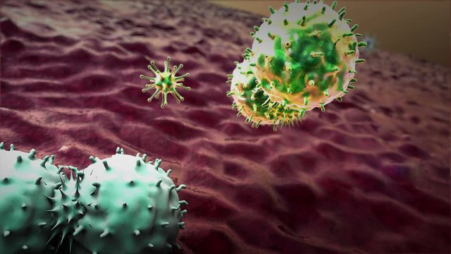 Coronavirus and antibodies, antibodies kills the cells, 3d rendered  macrophage and virus, Medical video background, macrophage kill the Cancer Cell, 3d rendered  antibodies and Cancer Cell