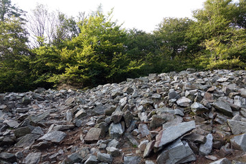 Ringwall am Altkönig im Taunus