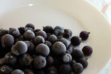 Frozen black currant on white plate. Harvesting fruit for the winter.