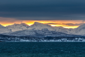 beautiful sunset under blue hour over fjord in Lofoten islands, Norway.