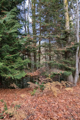 shoreline on bainbridge island with glow from the setting sun
