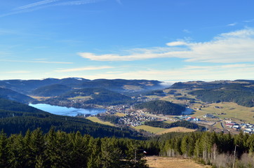 Blick auf den Titisee und Umgebung
